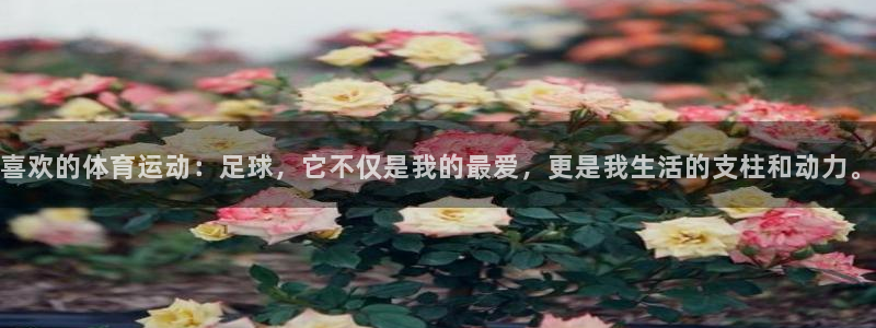 betway西汉姆联官网