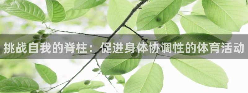 必威betway西汉姆联