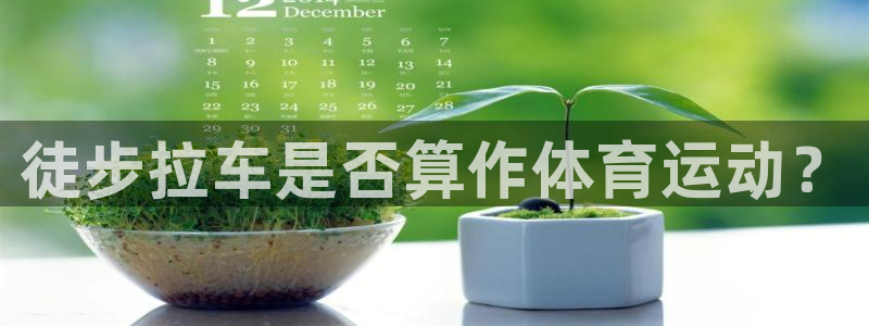 必威betway西汉姆联