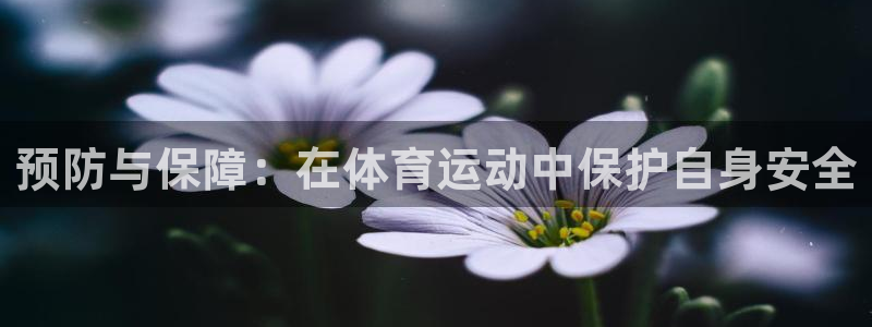 必威betway西汉姆联：预防与保障：在体育运动中保护自身安全
