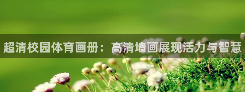 betway西汉姆：超清校园体育画册：高清墙画展现活力与智慧